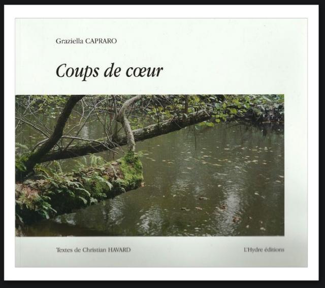 Cliquez pour agrandir l'image Cliquez pour agrandir l'image